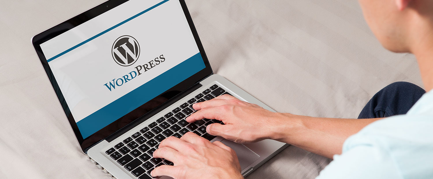 Your Partner for Custom WordPress Development