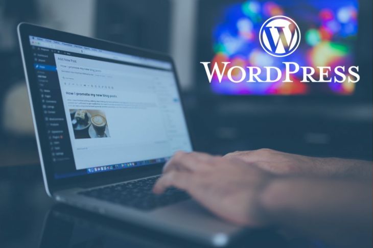 When Should Anyone prefer Ansun Internationals for WordPress Web Designer