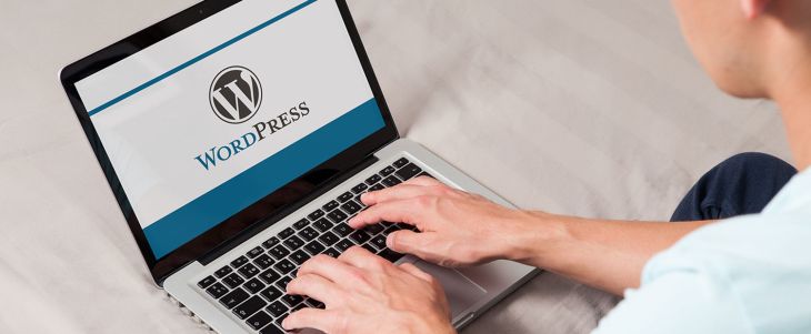 Your Partner for Custom WordPress Development